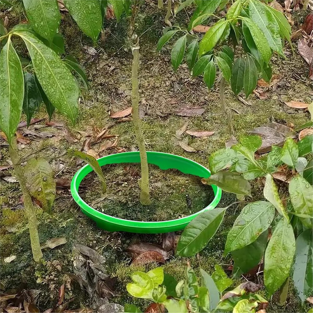 Gardening Tools Deals - 【카운트다운 딜】 뿌리에 물을 주기 위한
