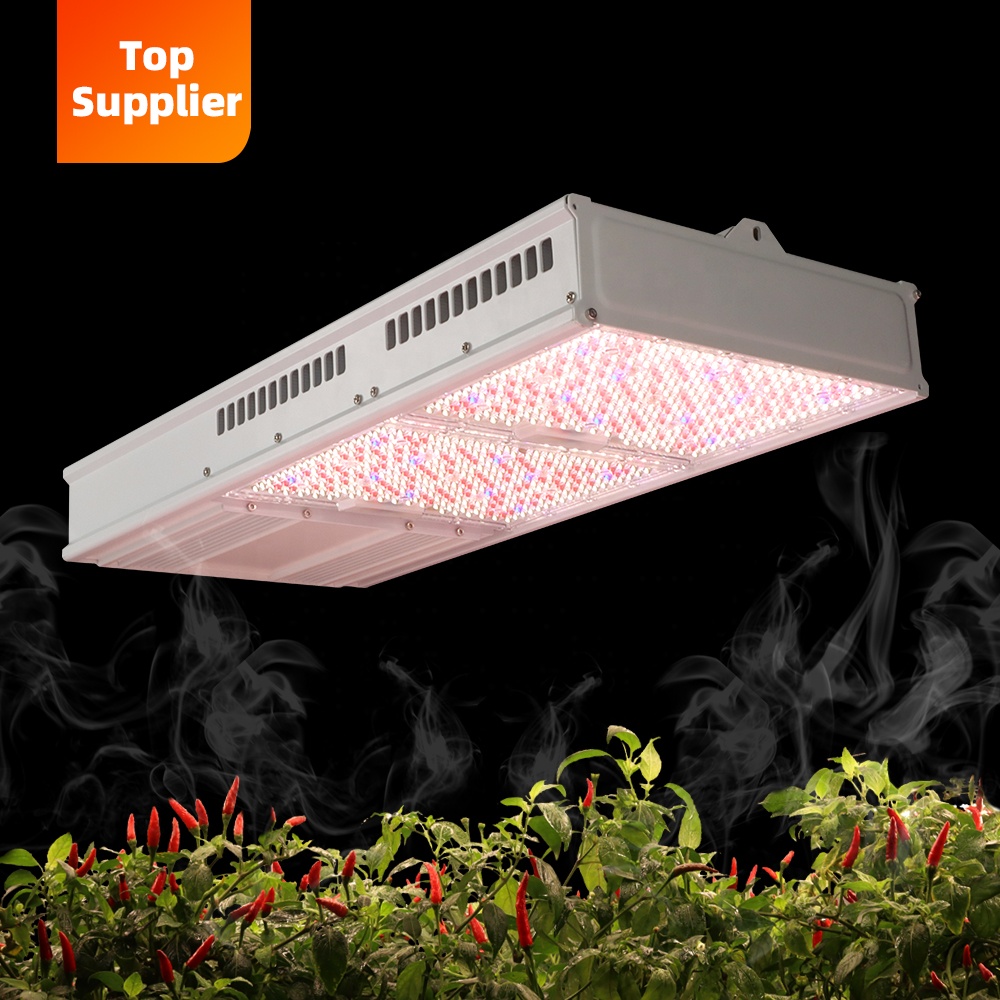 Led Grow Light - 비용 효율적인 600W 800W 탑라이트 풀