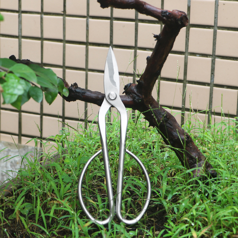 Bonsai Tool Set - 올스틸 정원 가위, 잎, 새싹, 꽃