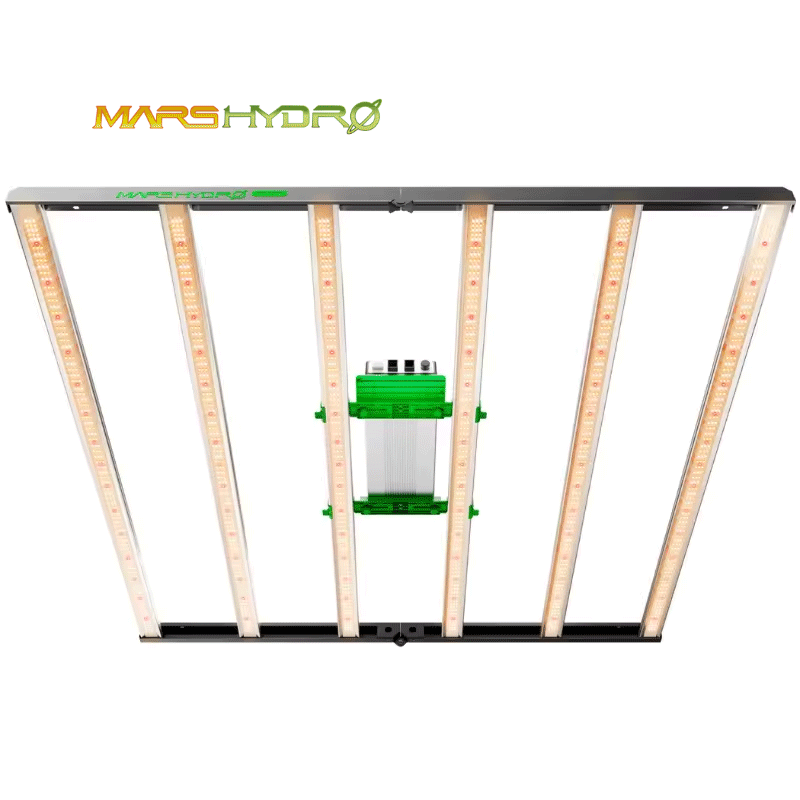 Led Grow Light - EU 미국 창고 재고 730W 마스