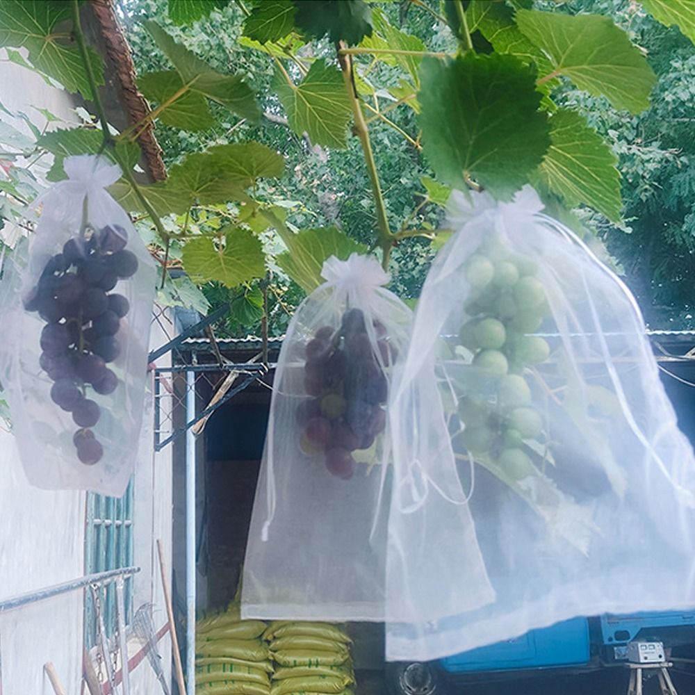 Grow Bags - 100개 메쉬 포도 재배용 가방 흰색