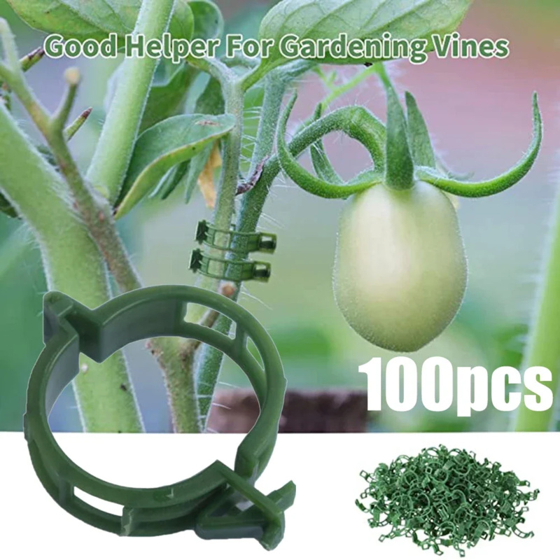 Gardening Tools Usa - 플라스틱 타이 트렐리스 스테이크 클립, 식물