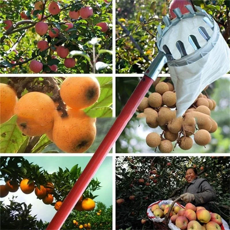 Grow Bags - 농장 과일 수확기 정원 과수원 복숭아