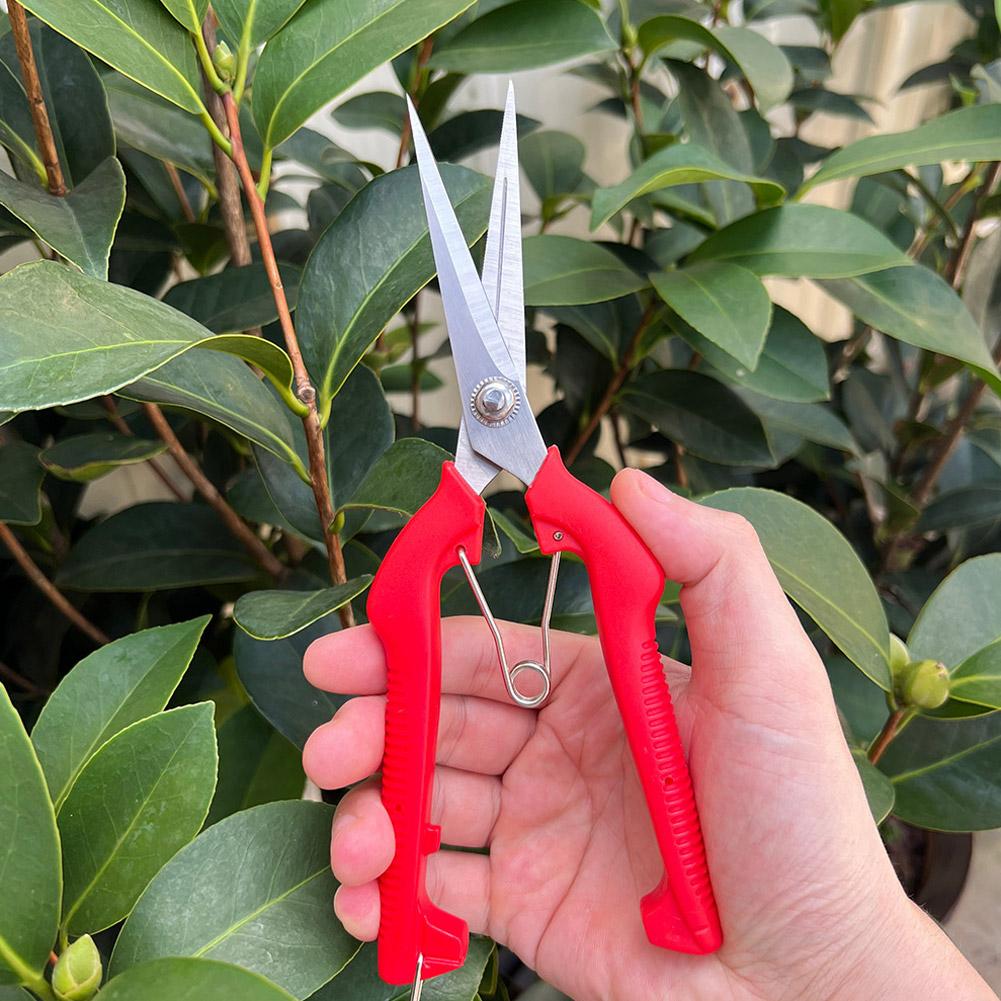 Gardening Tools Scissors - 프로 가든 전정가위 연장형 나무 꽃
