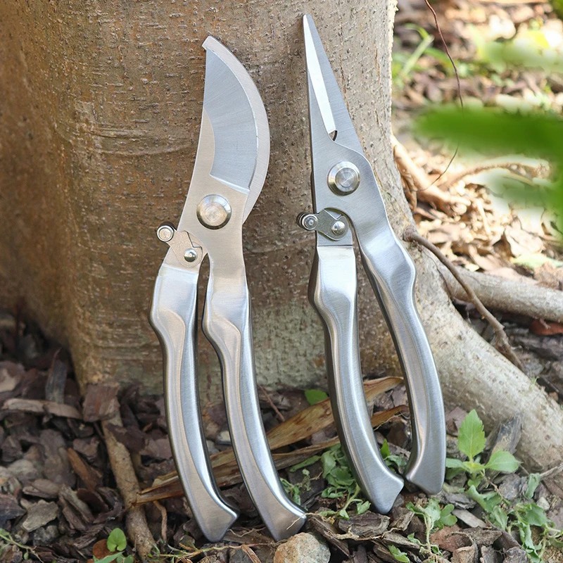 Bonsai Tool Set - 올스테인리스 스틸 전문 정원용 전지가위, 나무