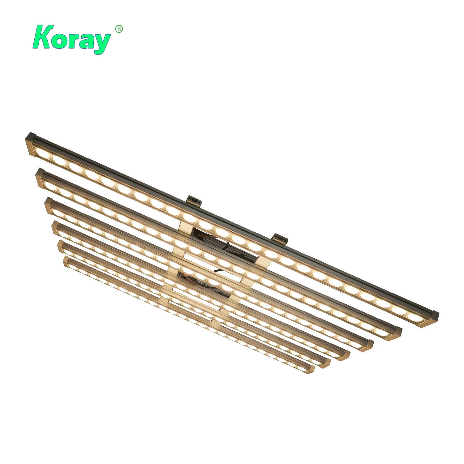 Led Grow Light - 코레이 900W 실내용 풀 스펙트럼 식물등