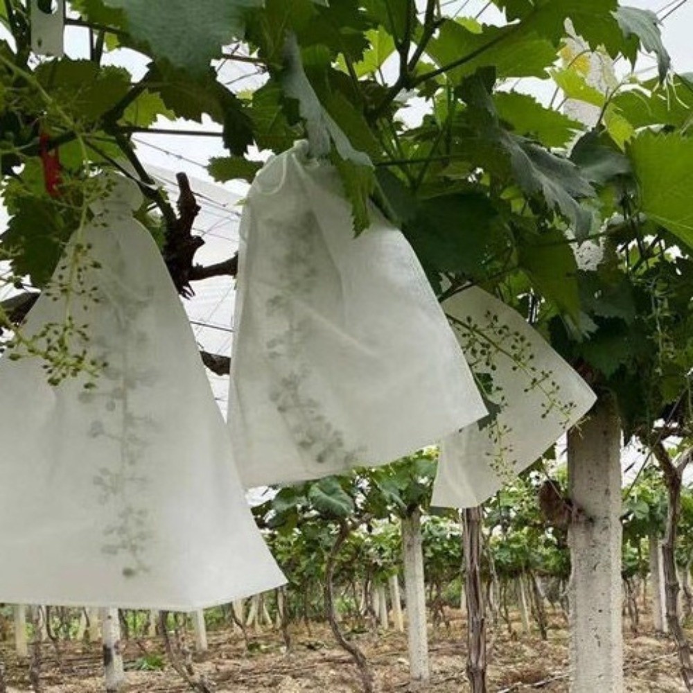 Grow Bags - 100Pcs 부직포 과일 보호 가방 조류