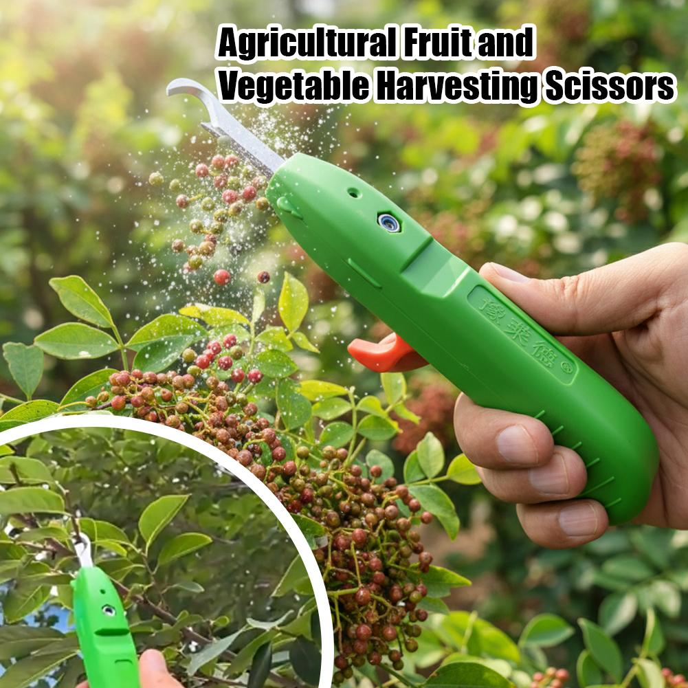 정원용 전정가위, 농업용 도구, 포도 따기용 가위, 과 - Gardening Tools Scissors 리뷰 및 가격
