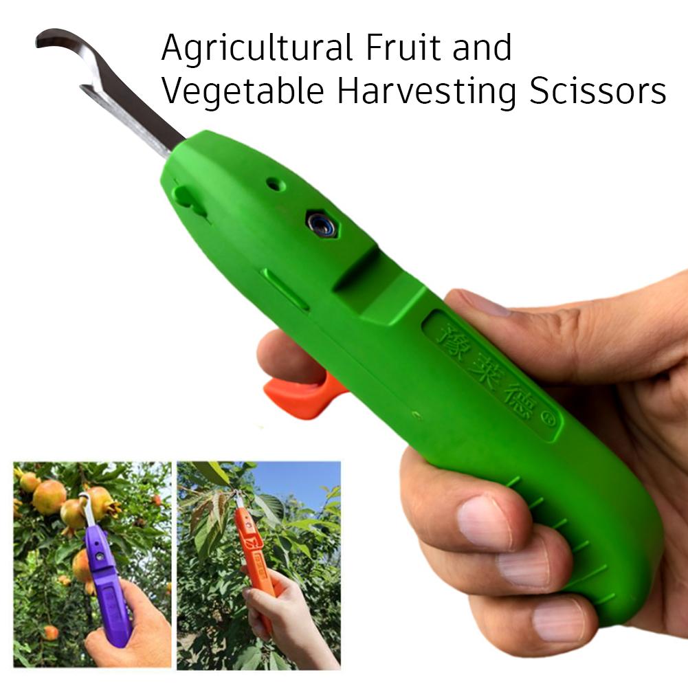 정원용 전정가위, 농업용 도구, 포도 따기용 가위, 과 - Gardening Tools Scissors 리뷰 및 가격
