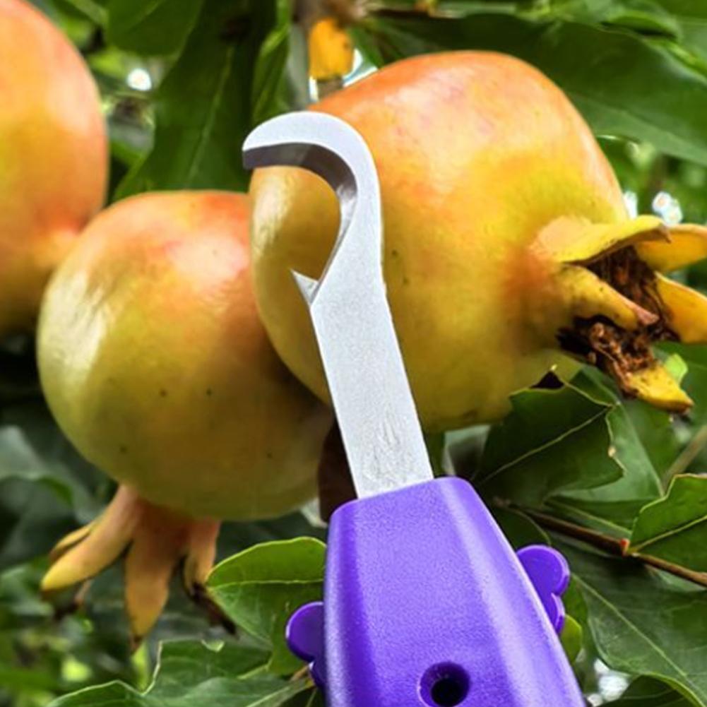 정원용 전정가위, 농업용 도구, 포도 따기용 가위, 과 - Gardening Tools Scissors 리뷰 및 가격