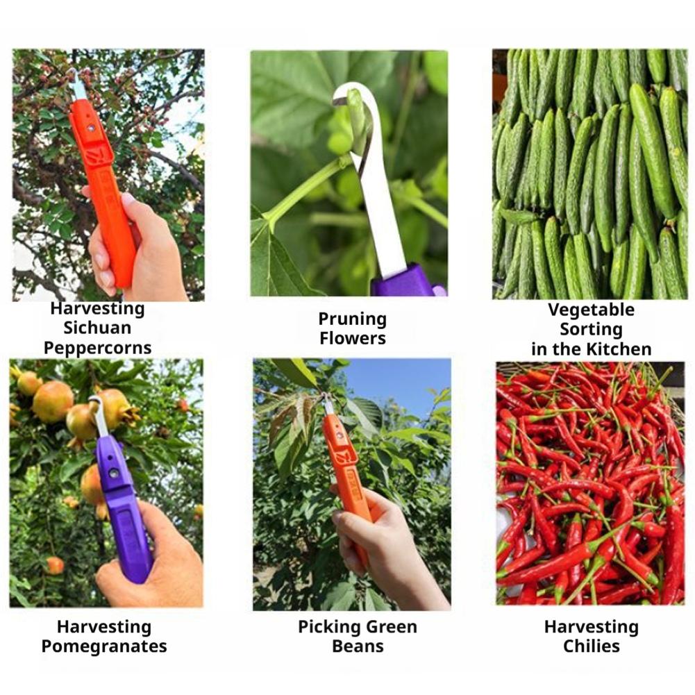 정원용 전정가위, 농업용 도구, 포도 따기용 가위, 과 - Gardening Tools Scissors 리뷰 및 가격