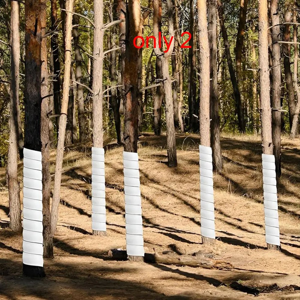 A75K 식물 나무 줄기 보호대 날씨 방지 방충 플라스 - Gardening Tools B&M 리뷰 및 가격