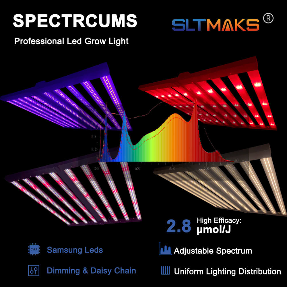 미국산 PPFD 2800 Umol/S LED 식물등 1 - Led Grow Light 리뷰 및 가격
