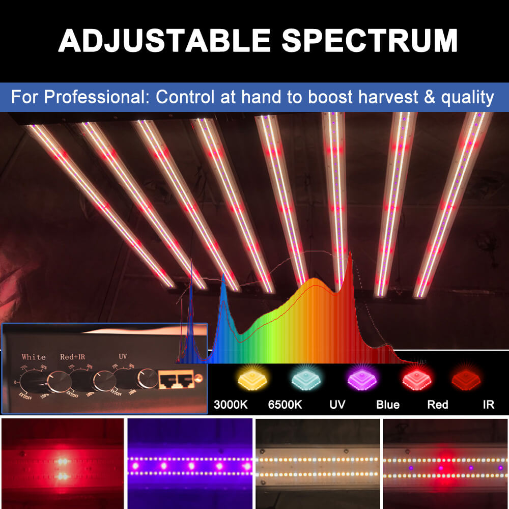 미국산 PPFD 2800 Umol/S LED 식물등 1 - Led Grow Light 리뷰 및 가격