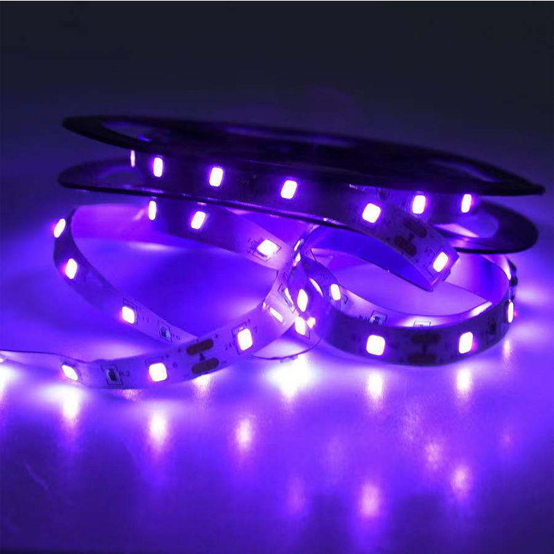 UV LED 자외선, 블랙 UV 램프, SMD 5050 - Led Grow Light 리뷰 및 가격