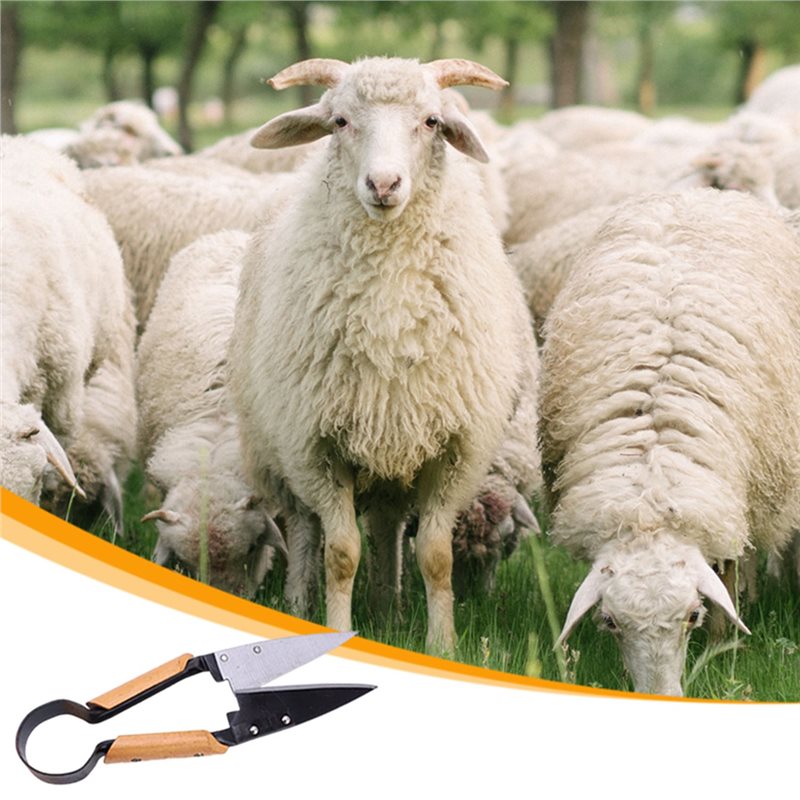 【플래시딜】헤비듀티 13인치 인체공학적 양파/양털 전정 - Gardening Tools Deals 리뷰 및 가격