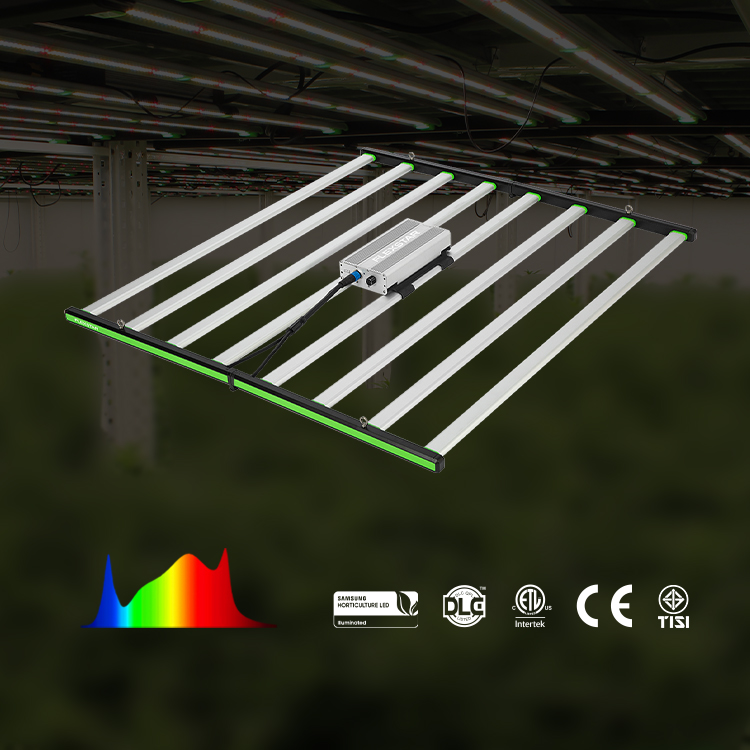 Lm301h Evo 281b 풀 스펙트럼 LED 식물  - Led Grow Light 리뷰 및 가격