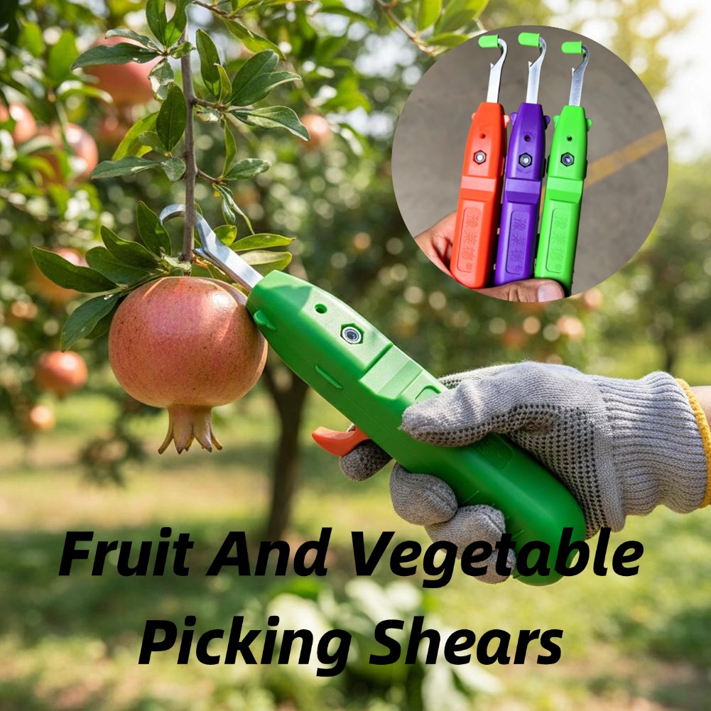 과일 및 채소 수확용 가위, 정원용 전정 가위, 곡선형 - Gardening Tools Scissors 리뷰 및 가격