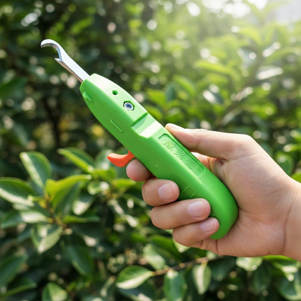 과일 및 채소 수확용 가위, 정원용 전정 가위, 곡선형 - Gardening Tools Scissors 리뷰 및 가격