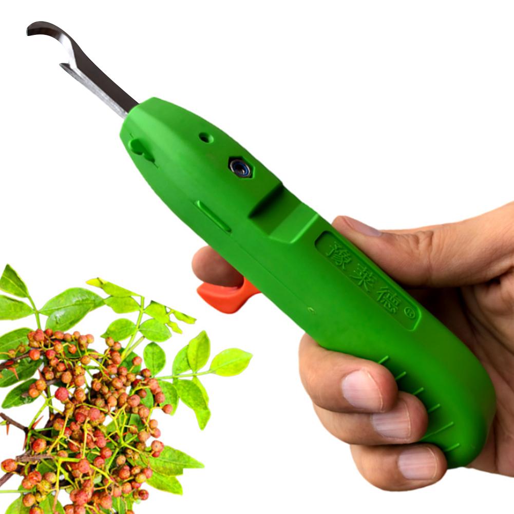 미니 전정가위 휴대용 전정 및 과일 따기 가위 고추 가 - Gardening Tools Scissors 리뷰 및 가격