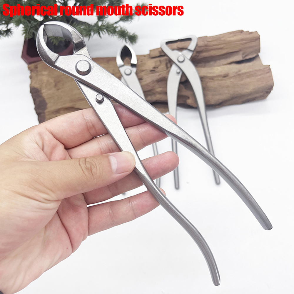 세 가지 종류의 분재 가위가 제공됩니다. 스테인리스 스 - Bonsai Tool Set 리뷰 및 가격