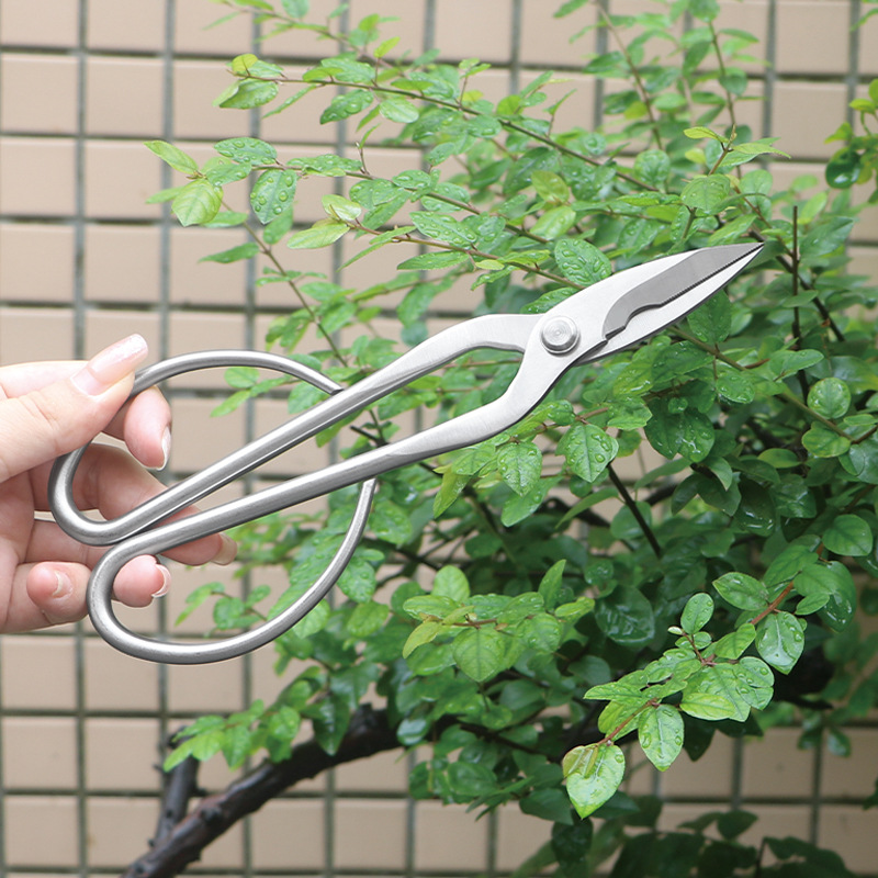 올스틸 정원 가위, 잎, 새싹, 꽃 가위, 가정용 꽃  - Bonsai Tool Set 리뷰 및 가격
