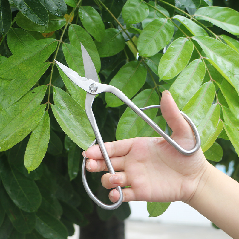 올스틸 정원 가위, 잎, 새싹, 꽃 가위, 가정용 꽃  - Bonsai Tool Set 리뷰 및 가격