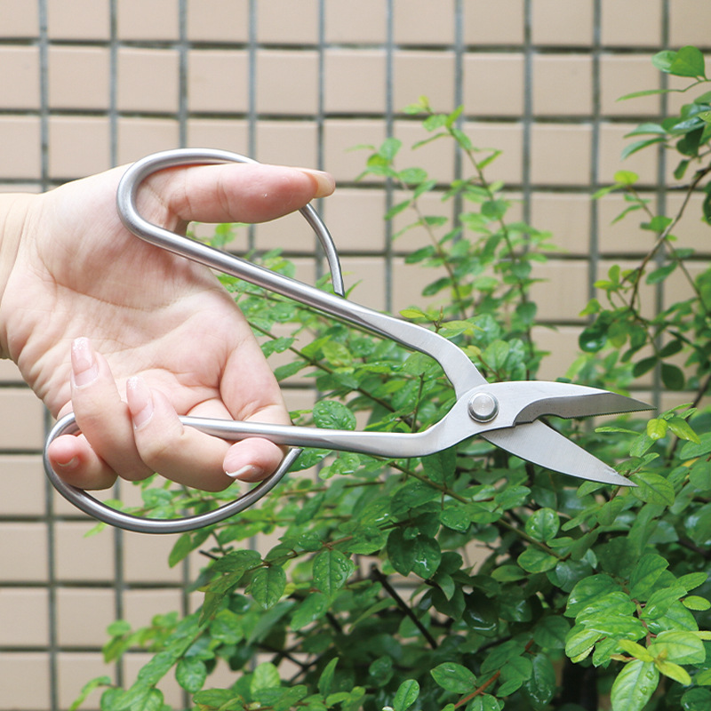 올스틸 정원 가위, 잎, 새싹, 꽃 가위, 가정용 꽃  - Bonsai Tool Set 리뷰 및 가격