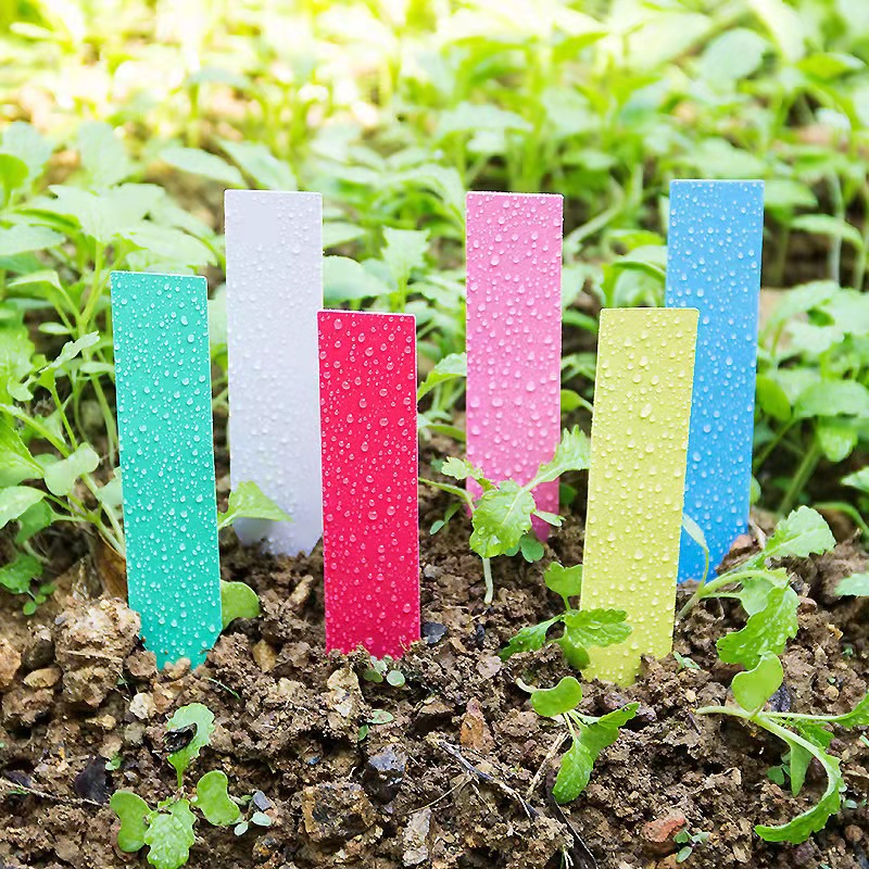 100Pcs 정원 식물 레이블 플라스틱 식물 태그 보육 - Plant Label Tags 리뷰 및 가격