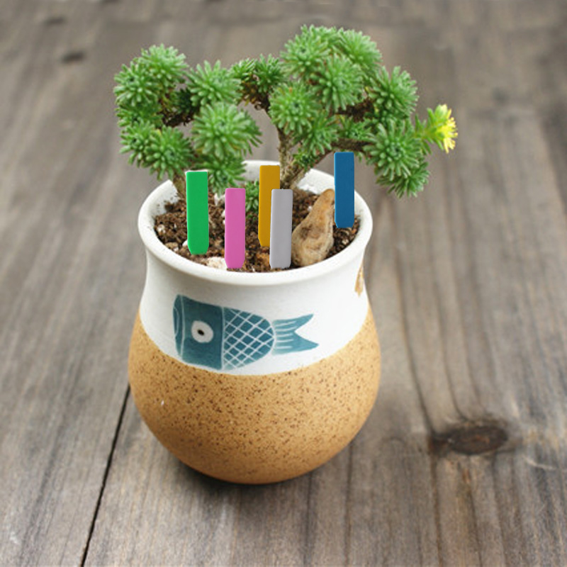 100Pcs 정원 식물 레이블 플라스틱 식물 태그 보육 - Plant Label Tags 리뷰 및 가격