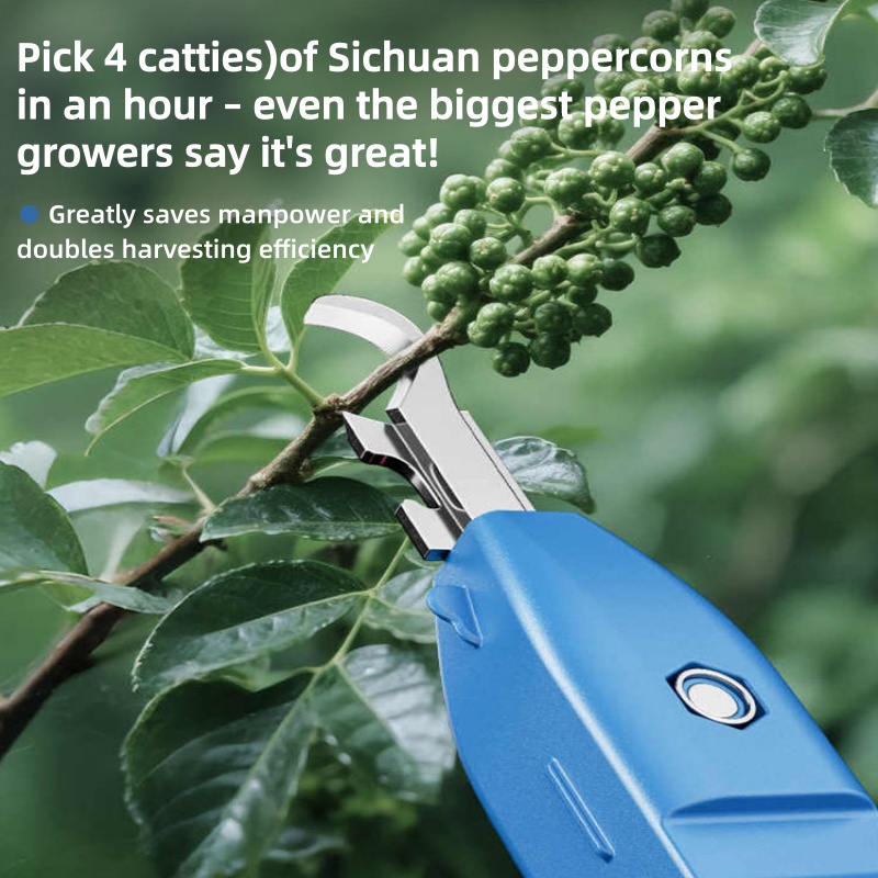 다기능 수확기, 고추 따기, 휴대용 과일 및 채소 수확 - Gardening Tools Scissors 리뷰 및 가격