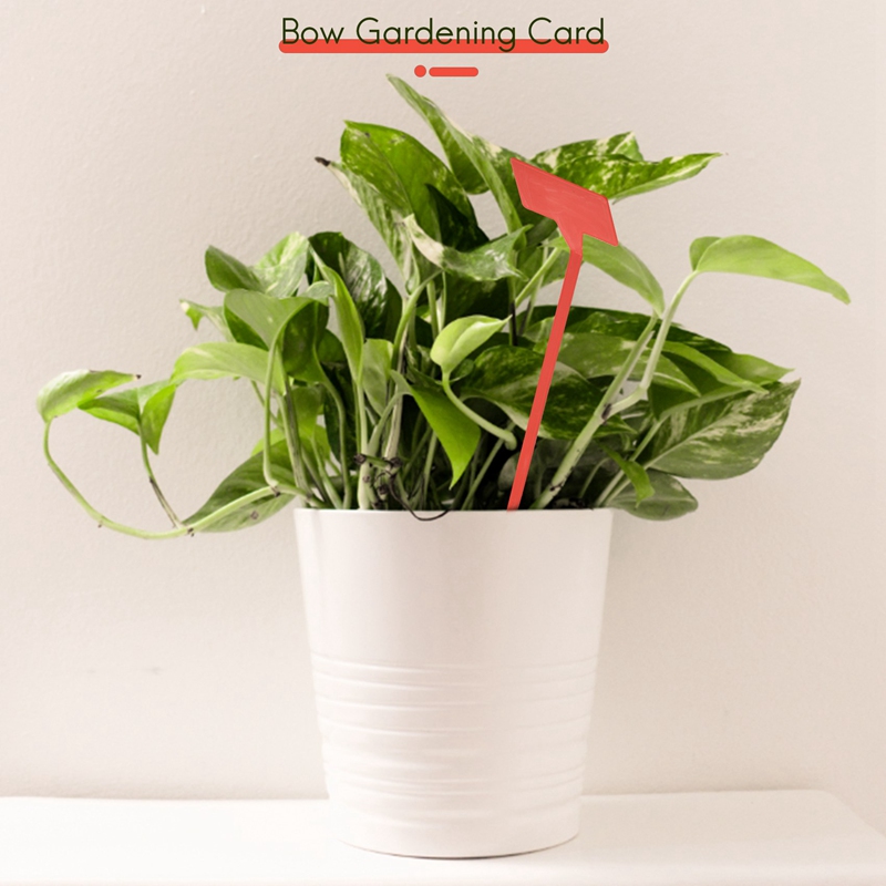 ABYP 정원 심기 도구 50 Pcs 분재 플라스틱 식 - Plant Label Tags 리뷰 및 가격