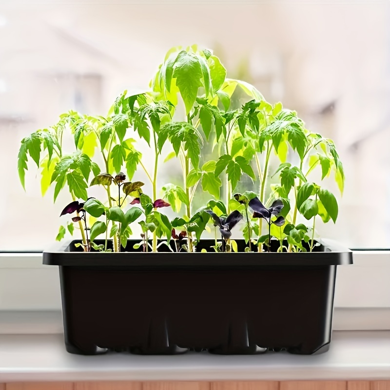 묘목 재배 키트 1/2/3세트, 8개 LED 성장등 밝 - Led Grow Light 리뷰 및 가격