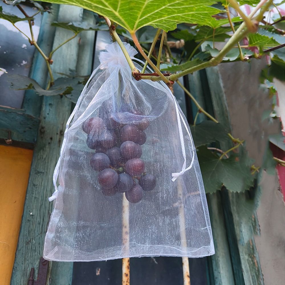 100개 메쉬 포도 재배용 가방 흰색 통기성 식물 재배 - Grow Bags 리뷰 및 가격