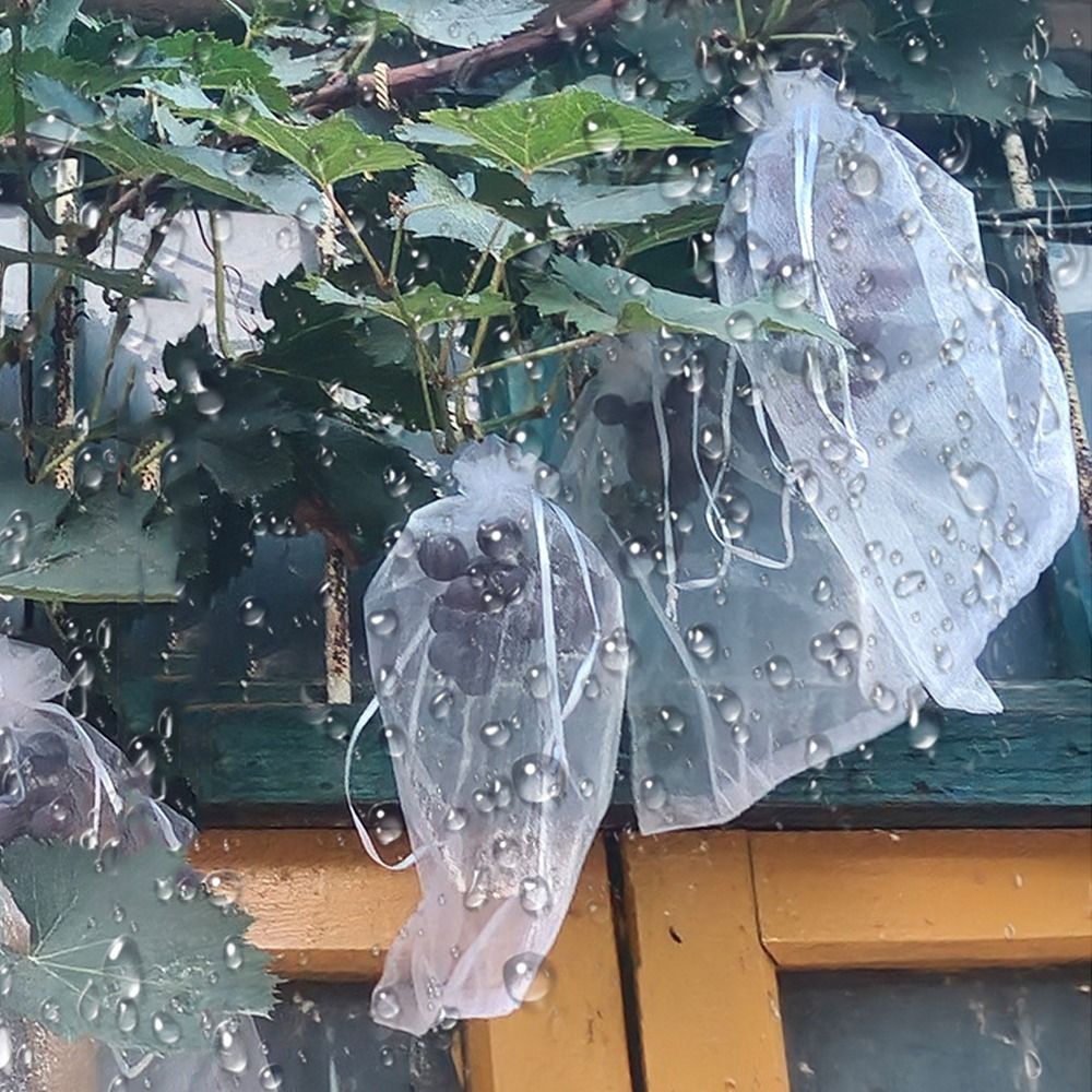 100개 메쉬 포도 재배용 가방 흰색 통기성 식물 재배 - Grow Bags 리뷰 및 가격