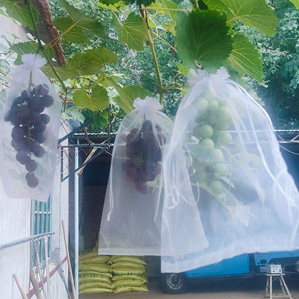 100개 메쉬 포도 재배용 가방 흰색 통기성 식물 재배 - Grow Bags 리뷰 및 가격