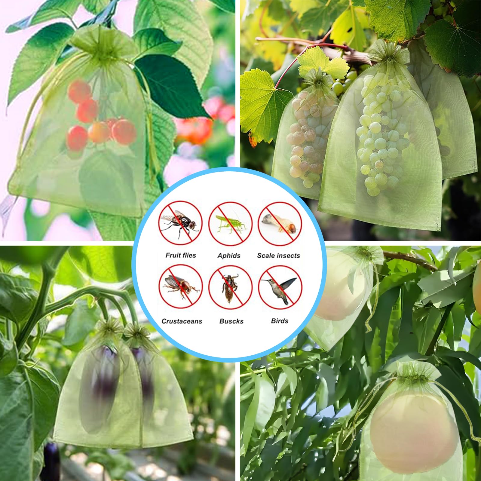 효과적인 조류 방지망 과일 보호 가방 식물 재배 커버  - Outdoor Planting Bag 리뷰 및 가격