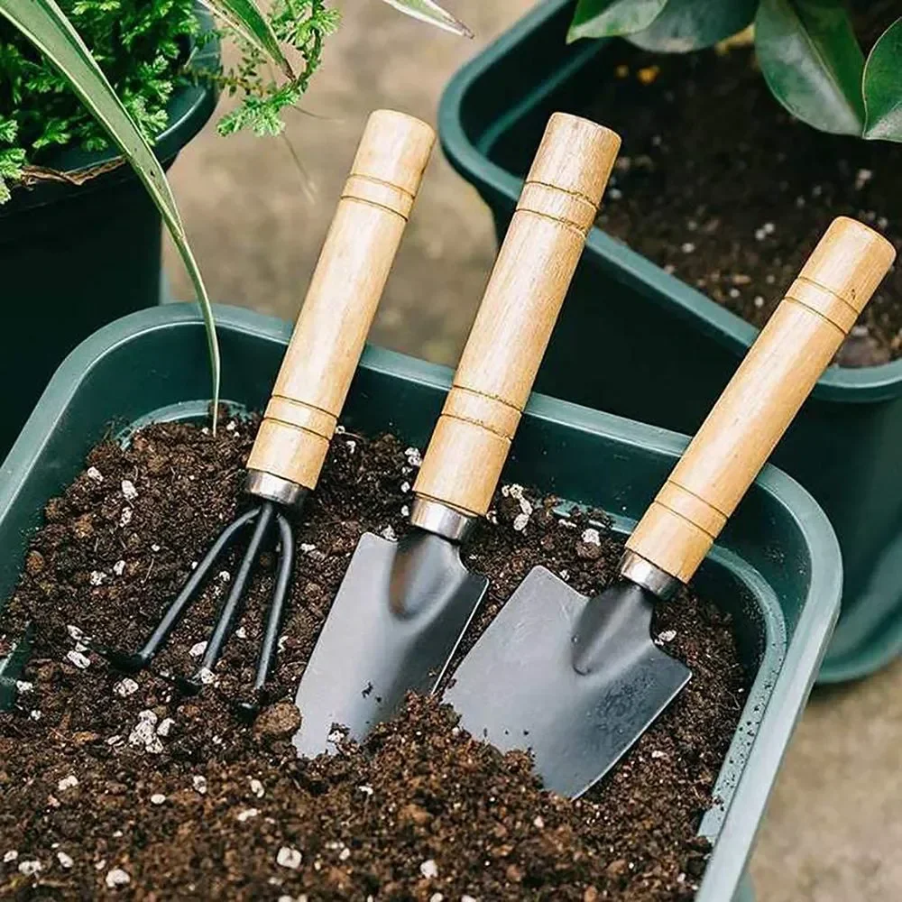 3개/세트 미니 정원 도구 세트 소형 실내 식물 관리용 - Gardening Tools Usa 리뷰 및 가격