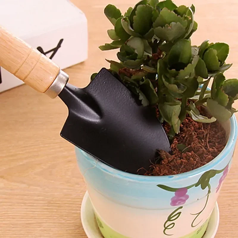 3개/세트 미니 정원 도구 세트 소형 실내 식물 관리용 - Gardening Tools Usa 리뷰 및 가격