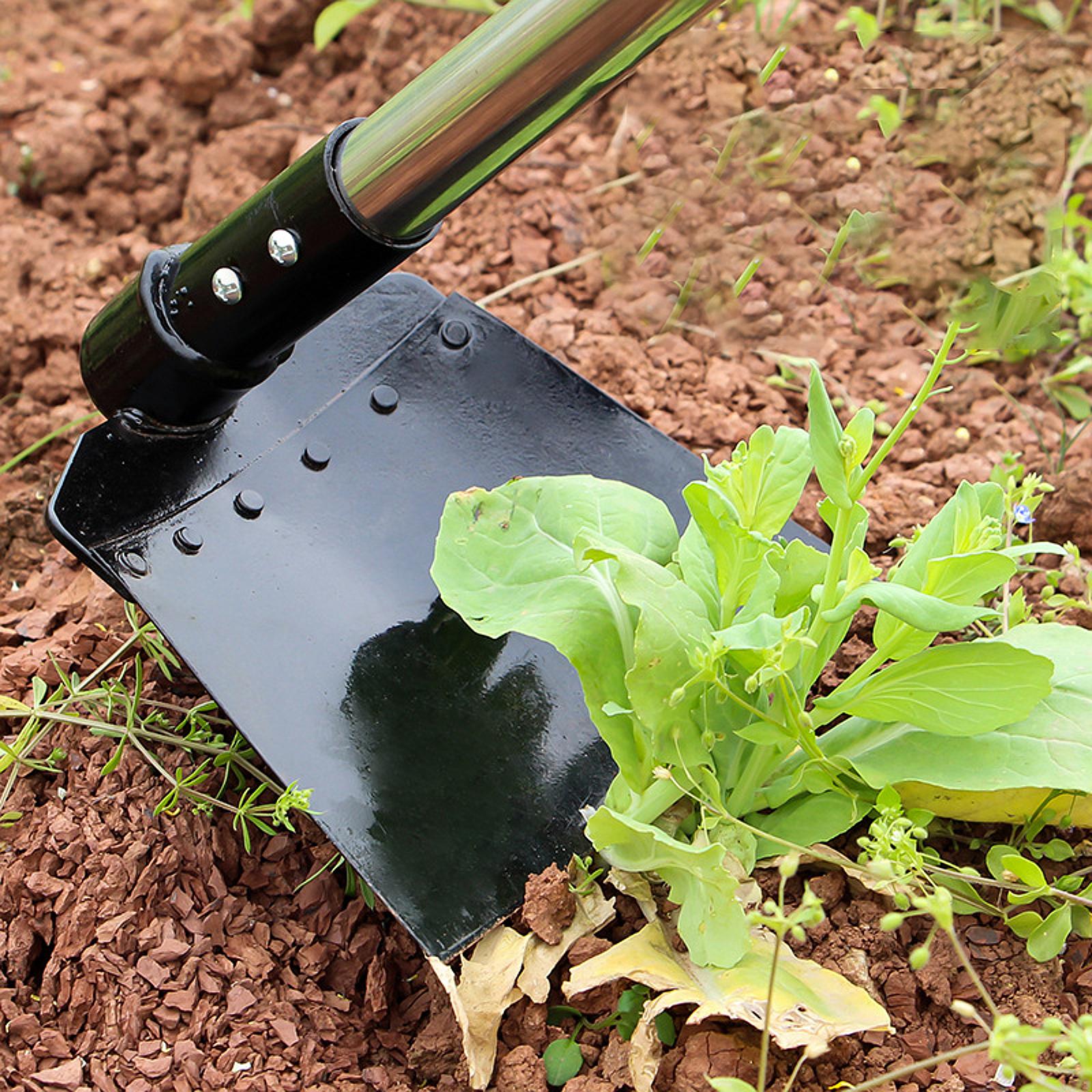 조절 가능한 긴 손잡이가 있는 잡초 제거용 낫, 흙을  - Gardening Tools Long 리뷰 및 가격