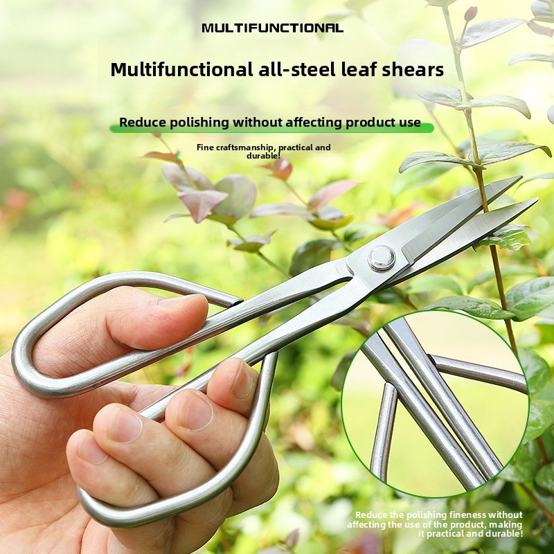 부드러운 잎 가위 분재 도구 가지 가위 연장형 스테인리 - Bonsai Tool Set 리뷰 및 가격