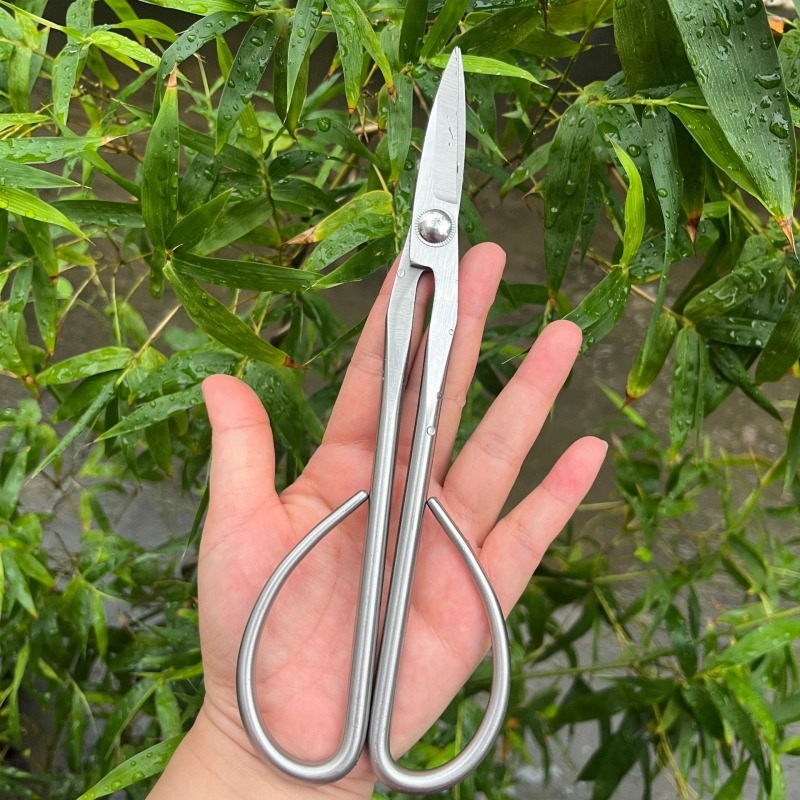 부드러운 잎 가위 분재 도구 가지 가위 연장형 스테인리 - Bonsai Tool Set 리뷰 및 가격