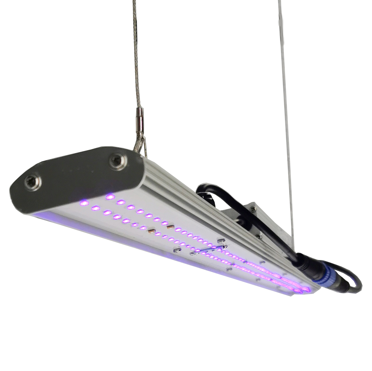 DANSE LED 수동 디머 LED 식물등 30W 2F - Led Grow Light 리뷰 및 가격