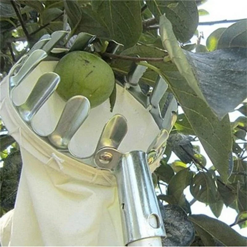 농장 과일 수확기 정원 과수원 복숭아 사과 큰 나무 수 - Grow Bags 리뷰 및 가격