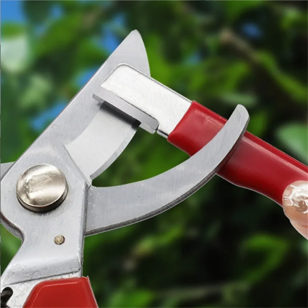 다기능 휴대용 칼갈이, 야외용 가위, 정원 가지치기,  - Gardening Tools Scissors 리뷰 및 가격