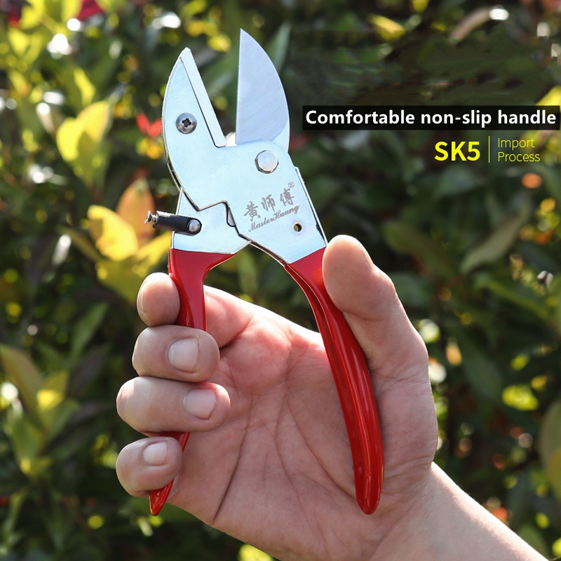 SK5 스틸 수동 정원 전정 가위, 노동 절약 나무 및 - Bonsai Tool Set 리뷰 및 가격