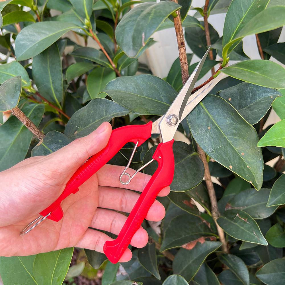 프로 가든 전정가위 연장형 나무 꽃 가위 수제 분재 가 - Gardening Tools Scissors 리뷰 및 가격