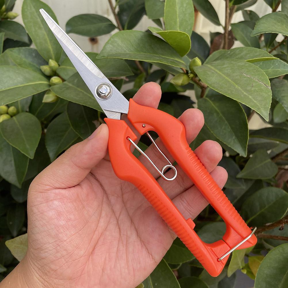 프로 가든 전정가위 연장형 나무 꽃 가위 수제 분재 가 - Gardening Tools Scissors 리뷰 및 가격