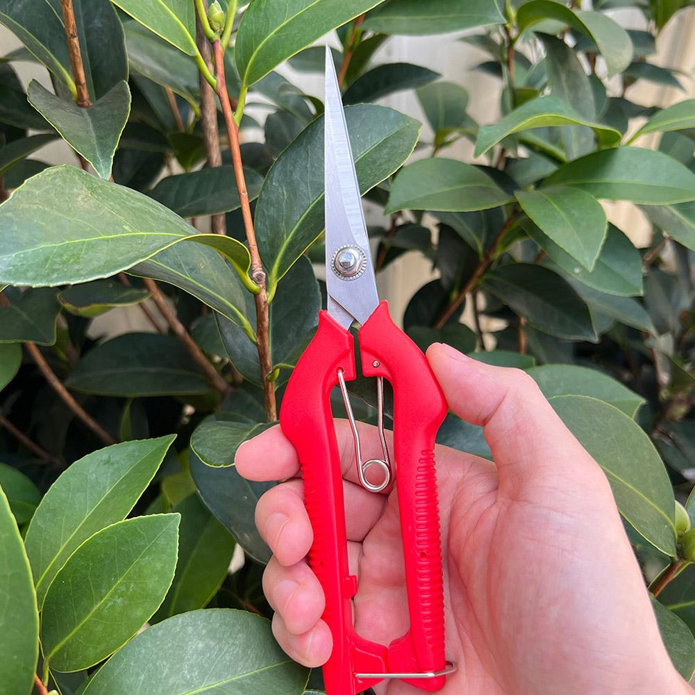 프로 가든 전정가위 연장형 나무 꽃 가위 수제 분재 가 - Gardening Tools Scissors 리뷰 및 가격