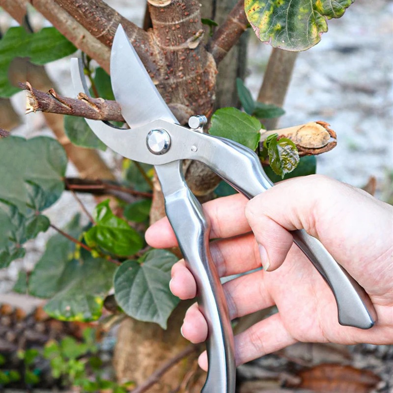 올스테인리스 스틸 전문 정원용 전지가위, 나무 가지 절 - Bonsai Tool Set 리뷰 및 가격